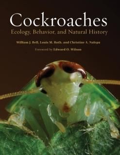 Cockroaches Ecology Behavior and Natural History