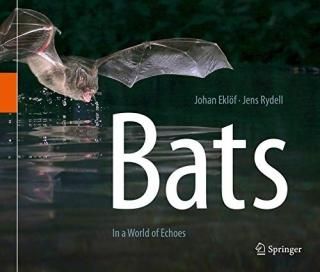 Bats In a World of Echoes