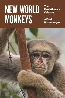 New World Monkeys The Evolutionary Odyssey