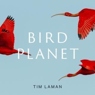 Bird Planet A Photographic Journey