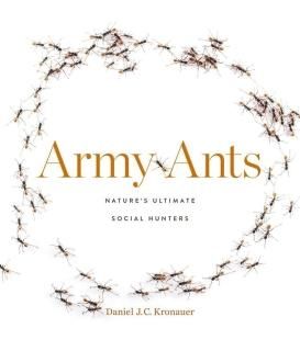 Army Ants Natures Ultimate Social Hunters