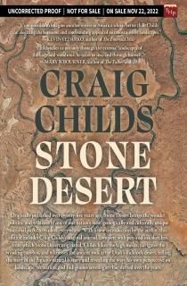 Stone Desert / Stone Desert Journal
