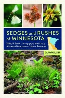 Sedges and Rushes of Minnesota The Complete Guide to Species Identification