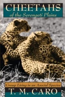 Cheetahs of the Serengeti Plains Group Living in an Asocial Species Wildlife Beh