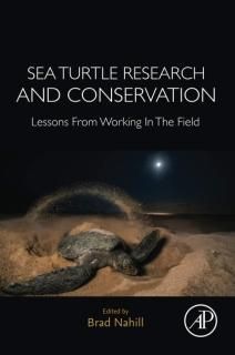 Sea Turtle Research and Conservation Lessons From Working In The Field