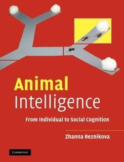 Animal Intelligence From Individual to Social Cognition