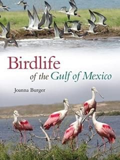 Birdlife of the Gulf of Mexico Harte Research Institute for Gulf of Mexico Studi
