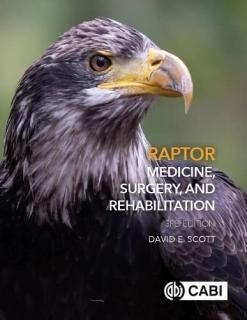 Raptor Medicine Surgery and Rehabilitation