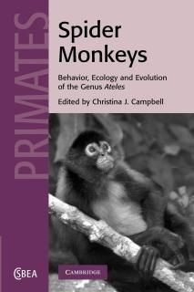 Spider Monkeys Behavior and Ecology and Evaluation of the Genus Ateles Cambridge