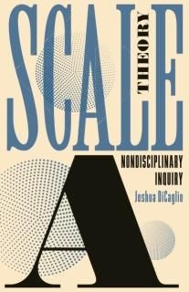 Scale Theory A Nondisciplinary Inquiry