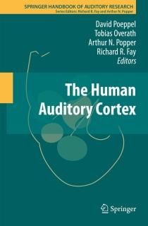 The Human Auditory Cortex Springer Handbook of Auditory Research 43