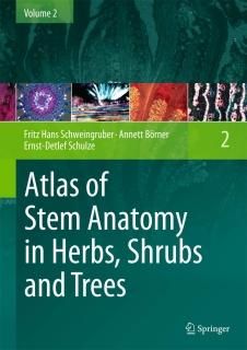 Atlas of Stem Anatomy in Herbs Shrubs and Trees Volume 2