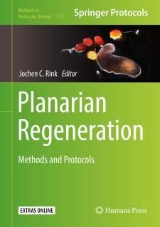 Planarian Regeneration Methods and Protocols Methods in Molecular Biology 1774