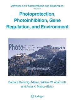 Photoprotection Photoinhibition Gene Regulation and Environment Advances in Phot