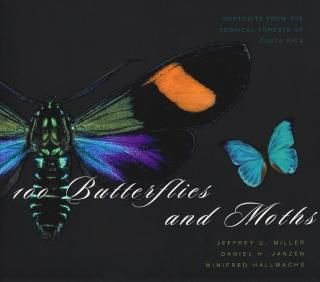100 Butterflies and Moths Portraits from the Tropical Forests of Costa Rica