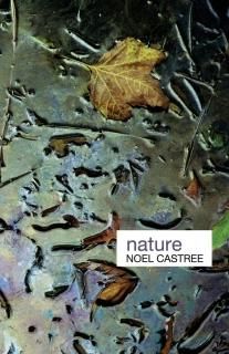 Nature Key Ideas in Geography