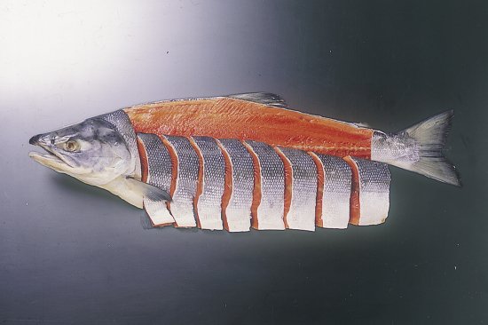 紅鮭（北洋産） 半身　内容量：１kg前後