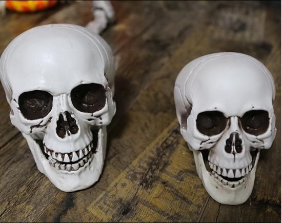 ハロウィンにおすすめ リアルなガイコツの置物 小 手書き 蝶 可愛い インテリア ロリータゴスロリ専門通販ショップluxury ラグジュアリー 安い価格で可愛いロリータワンピースを取り揃えています ハロウィンにおすすめ リアルなガイコツの置物 小 手書き 蝶 可愛い インテリア ロリータゴスロリ専門通販ショップluxury ラグジュアリー 安い価格で可愛いロリータワンピースを取り揃えています