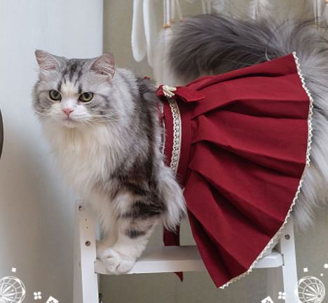 猫コスチューム3色 袴 スカート 和服 和ロリ 着物 かわいい リボン