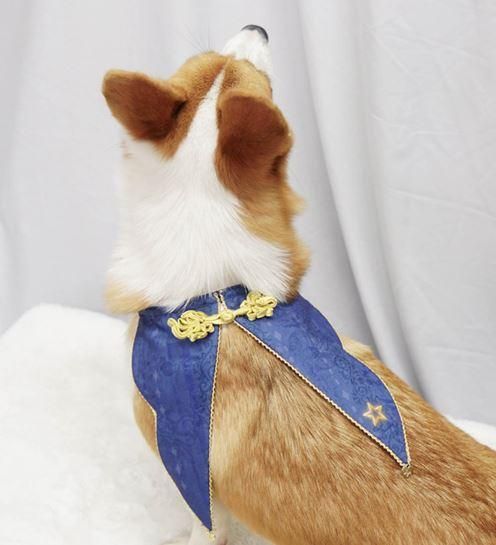 ペット用つけ襟 ネイビー 通年 猫 犬 ワンちゃん用 ネコちゃん用