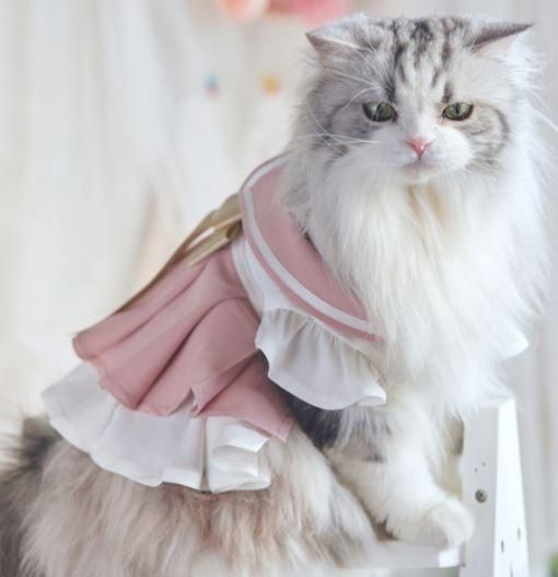 ペット用コスチューム 猫用 ネコちゃん かわいい 甘ロリ ワンピース ドレス ワンピ フリル バイカラー リボン セーラー服 プリーツ メイド風 レース ふんわり おしゃれ イベント おでかけ ゴスロ ロリータゴスロリ専門通販ショップluxury ラグジュアリー 安い価格で
