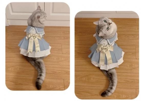 ペット用コスチューム 猫用 ネコちゃん かわいい 甘ロリ