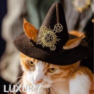 ѥ steampunk ǭ ɥϥå ˹ ˡȤ 襤    ڥå 塼 ϥ ٥ 