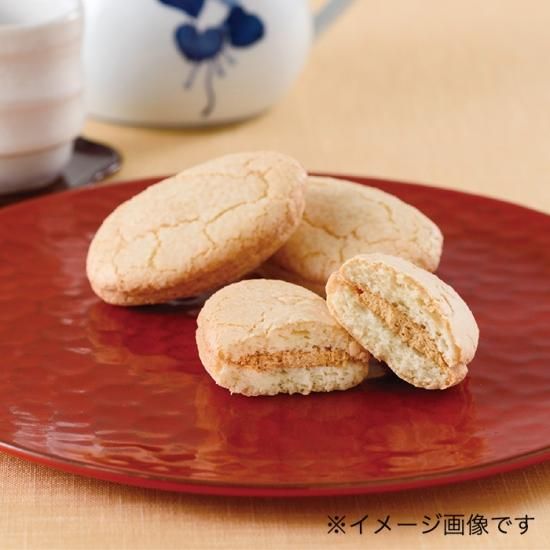 茶器/茶道具 水指（水差し）】 台湾染付唐草 釣鐘型 共蓋 時代水