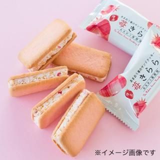 ������� 16�� ������