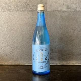 л͵(ߤ) Sensation Blue 720ml