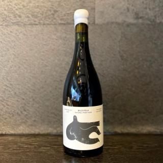 2024 WILD FORK (磻ɥե)  NATURAL PINOT NOIR(ԥ Υ) 750ml