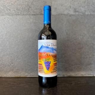 Vina Ilusion 2022 (˥ 륷) 750ml