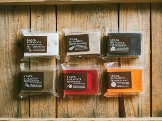 LEAF&BOTANICS ޥס
