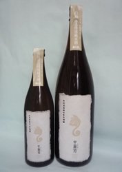 新政 亜麻猫（あまねこ）24By 白麹モト特別純米生原酒 1.8入 - 高良酒屋