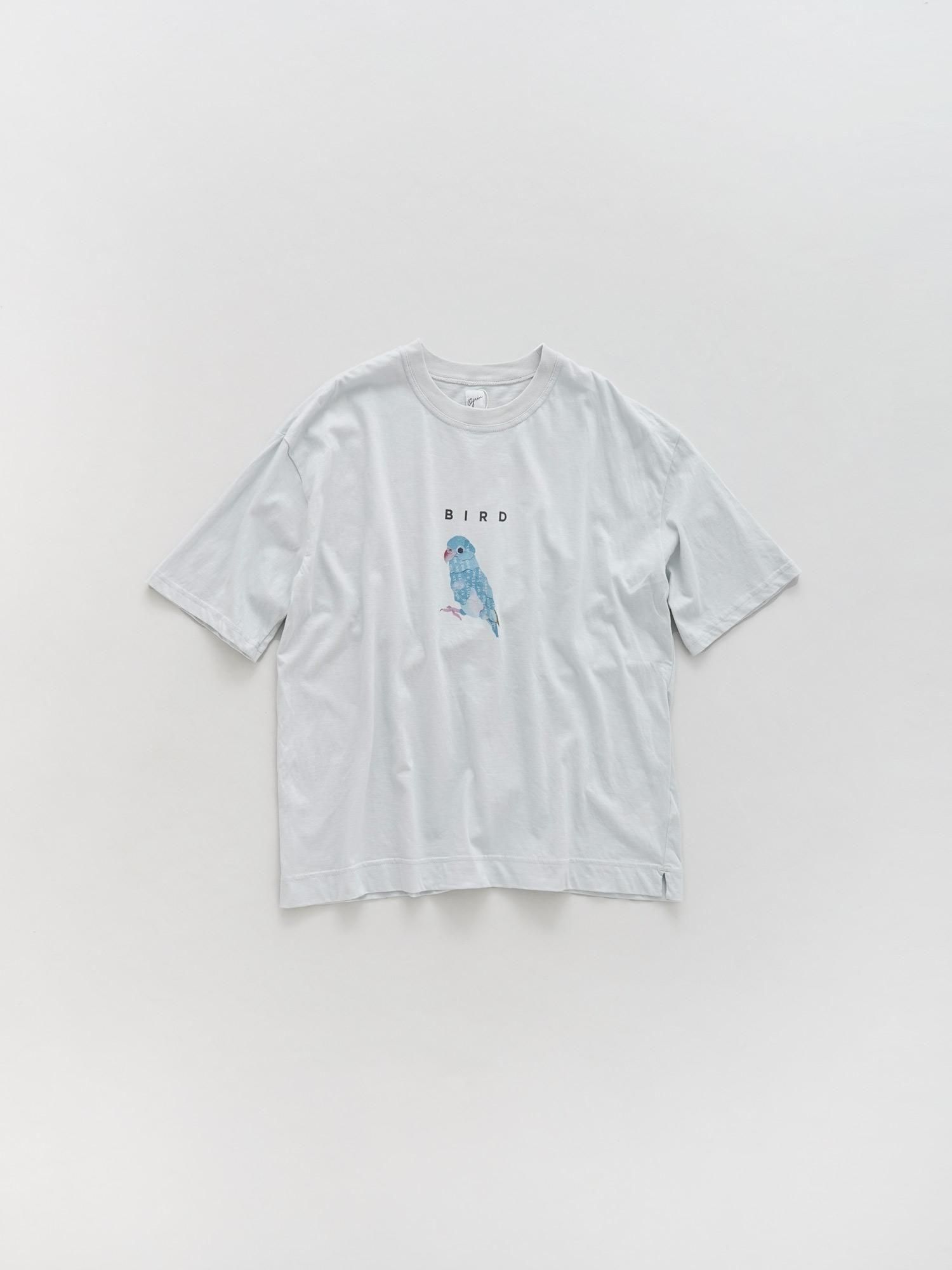ベーシック天竺　bluebirdプリントTシャツ<img class='new_mark_img2' src='https://img.shop-pro.jp/img/new/icons3.gif' style='border:none;display:inline;margin:0px;padding:0px;width:auto;' />