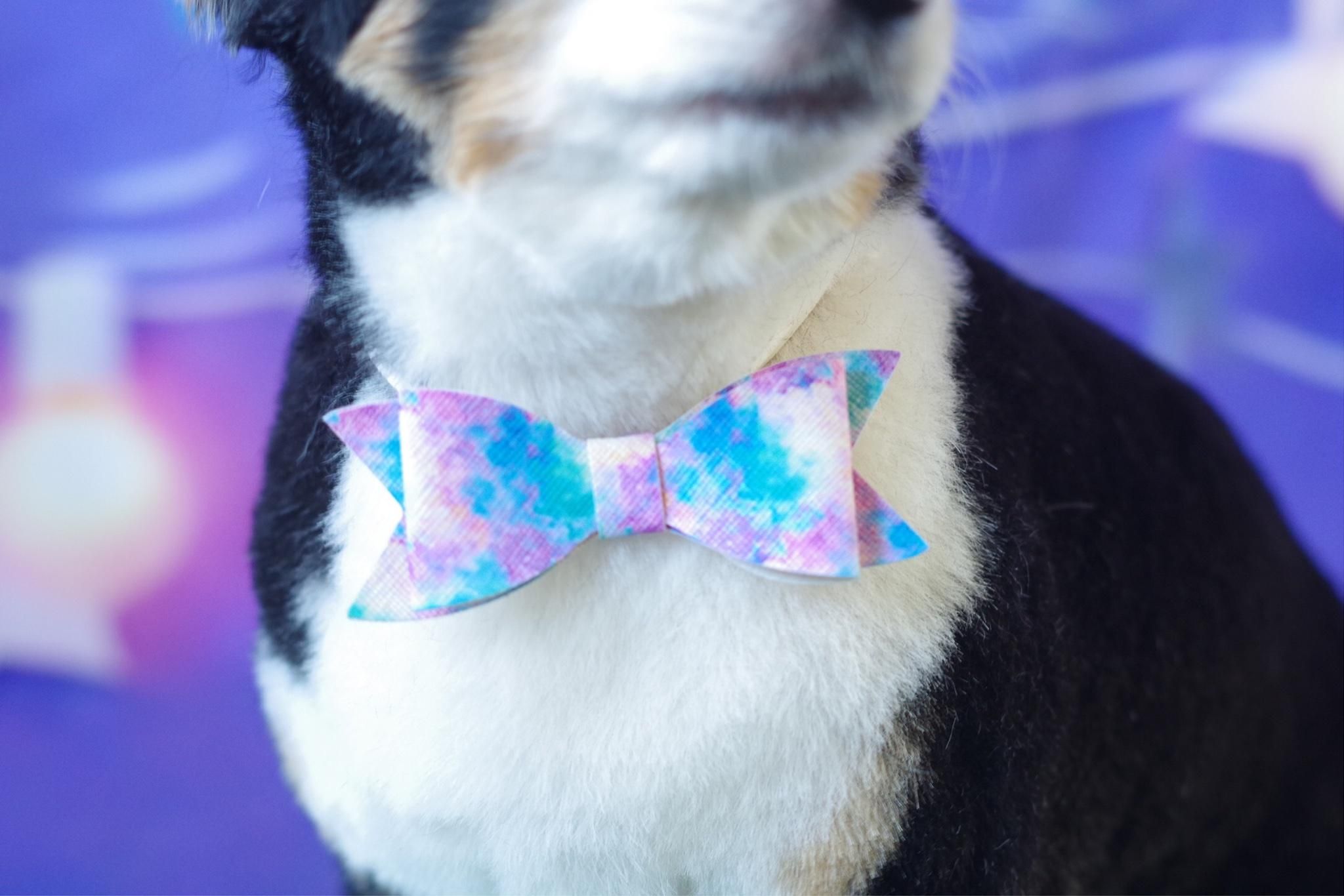 虹色チョーカー個入り 犬のリボン屋locoloco