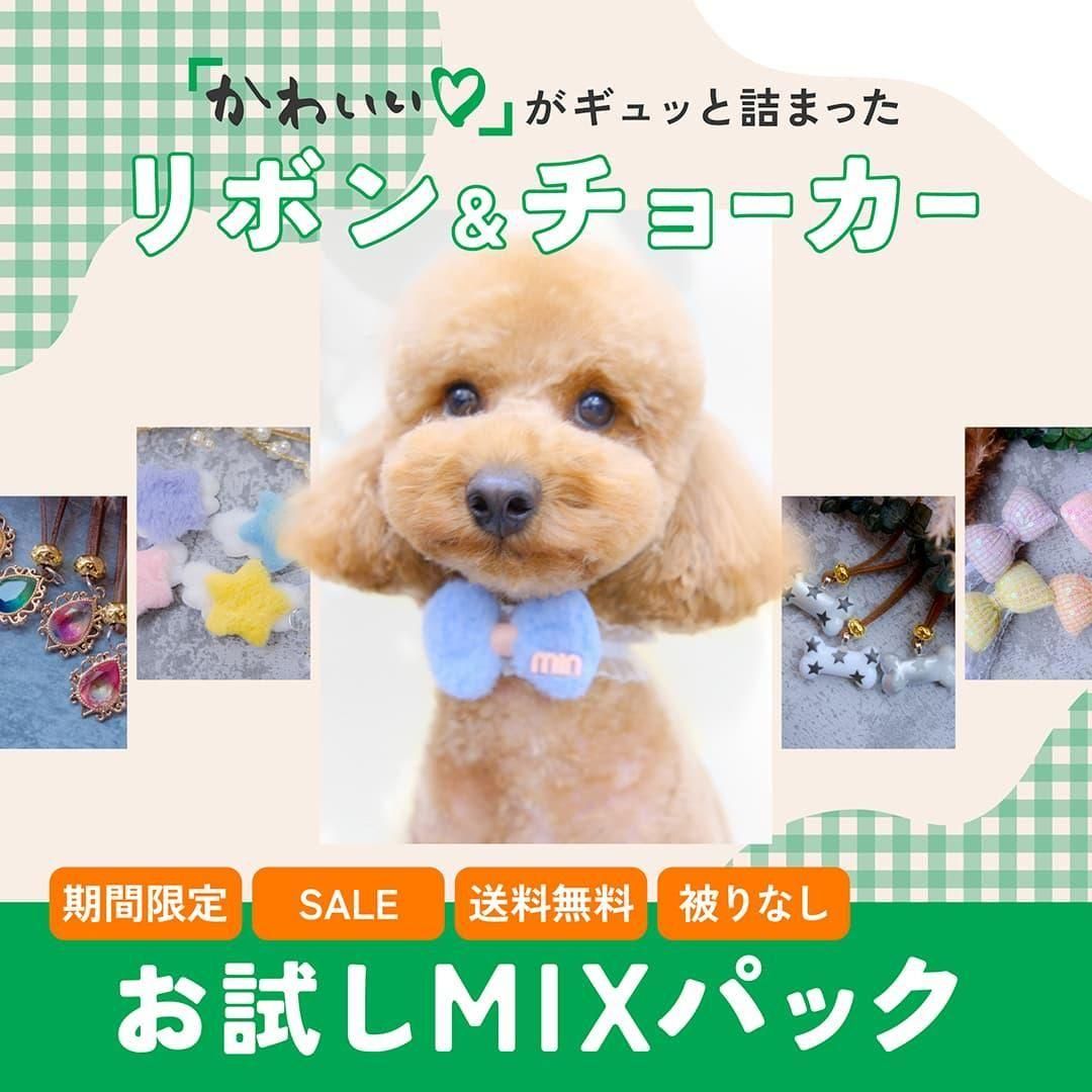 F-1】ミックスパックシュシュ&チョーカー - 犬のリボン屋LOCOLOCO
