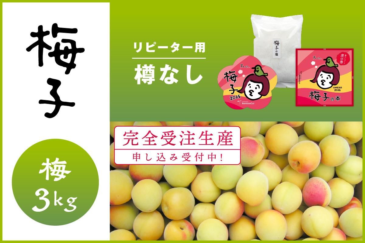3kg だれでもおいしく梅干しづくりキット梅子2025(リピーター用 3kg だれでもおいしく梅干しづくりキット梅子2025(リピーター用