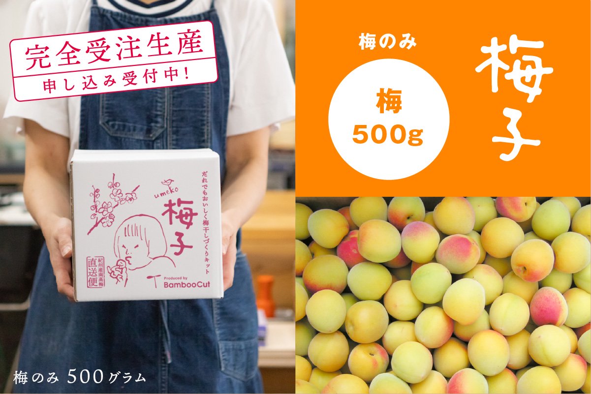 500g 梅子の梅（梅のみ）【販売終了】 - BambooCut Market