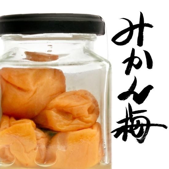 3kg だれでもおいしく梅干しづくりキット梅子2025（リピーター用