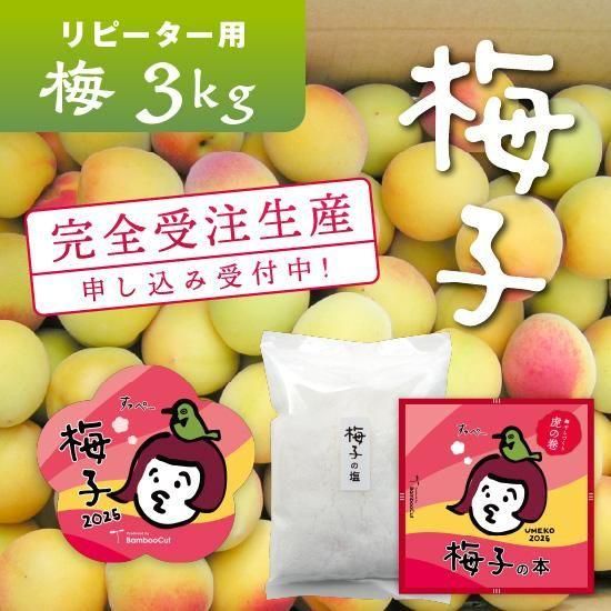 3kg だれでもおいしく梅干しづくりキット梅子2025(リピーター用 3kg だれでもおいしく梅干しづくりキット梅子2025(リピーター用