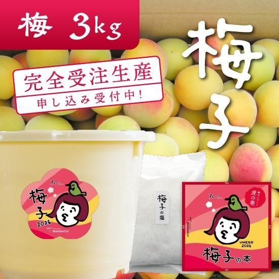 受付終了 1kg だれでもおいしく梅干しづくりキット梅子21 Bamboocut Market