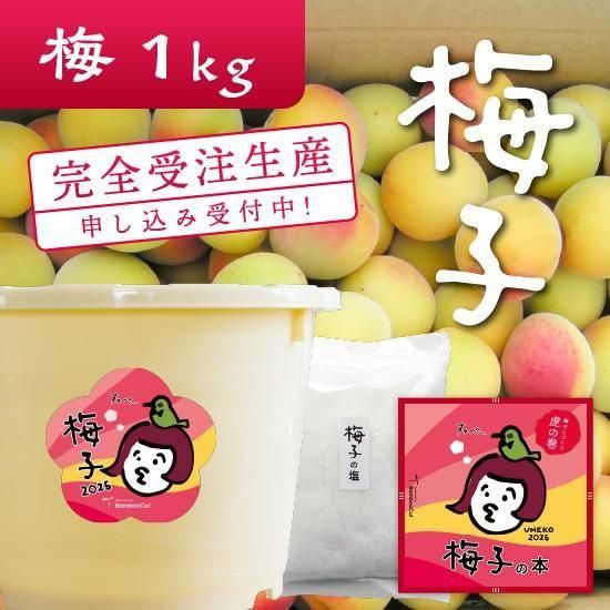 1kg Ǥ⤪ߴŤꥭå߻2025ڿ̤ãսλ