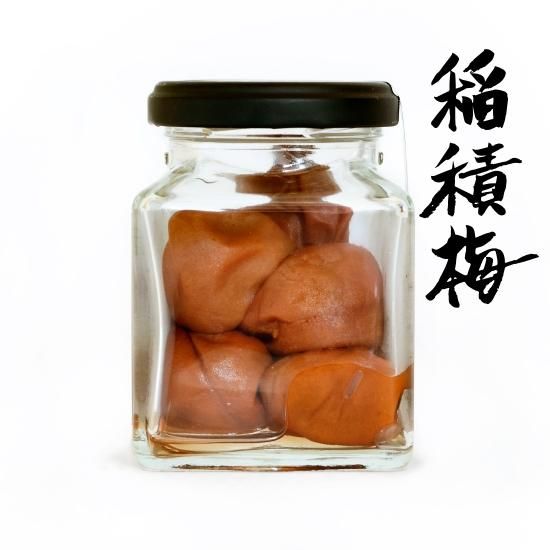 MAKIMAKI　5kg 　富山稲積梅　【 A級B級ブレンド品 】 稲積梅 - BambooCut Market