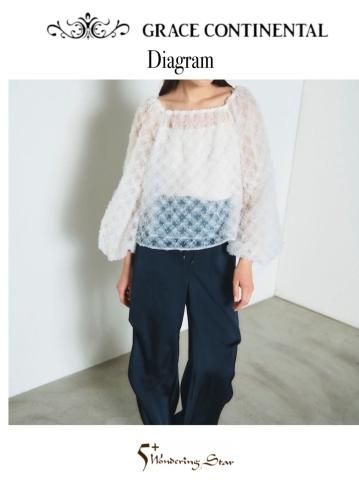 <img class='new_mark_img1' src='https://img.shop-pro.jp/img/new/icons16.gif' style='border:none;display:inline;margin:0px;padding:0px;width:auto;' />【GRACE CONTINENTAL】チュール刺繍トップ【ホワイト】