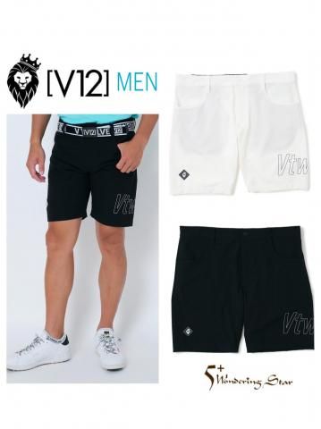 <img class='new_mark_img1' src='https://img.shop-pro.jp/img/new/icons13.gif' style='border:none;display:inline;margin:0px;padding:0px;width:auto;' />V12ۥϡեѥ BR SL SHORTS(MEN)2