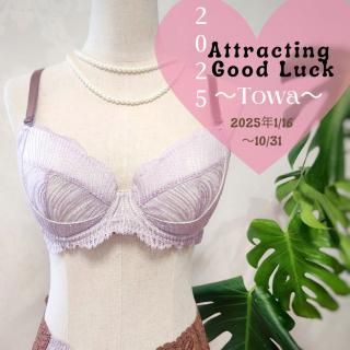 ʡ󥸥꡼Attracting Good Luck2025 Towaʱ֥饸㡼ָ