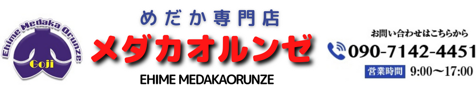 メダカオルンゼ