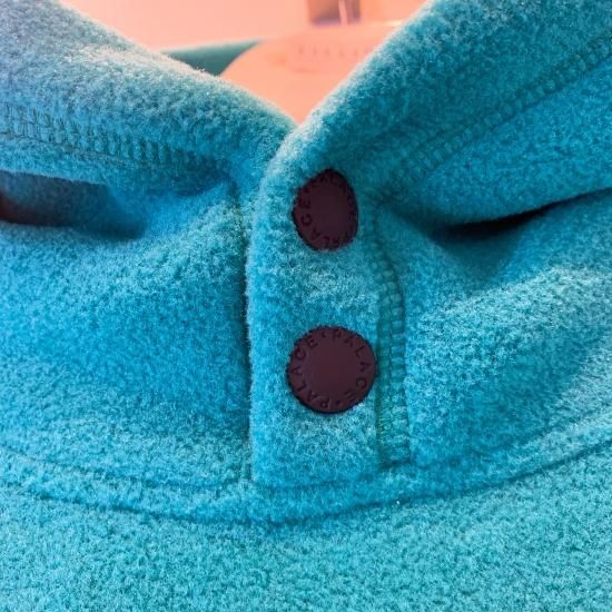 PALACEskateboards POLARTEC LAZER HOOD 17AW パレス ポーラ