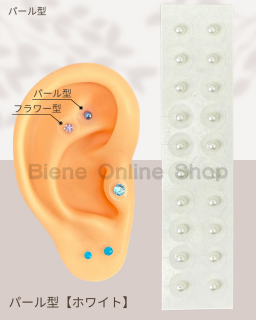 Ĥܥ奨꡼20γ<br>ѡ뷿ۥ磻